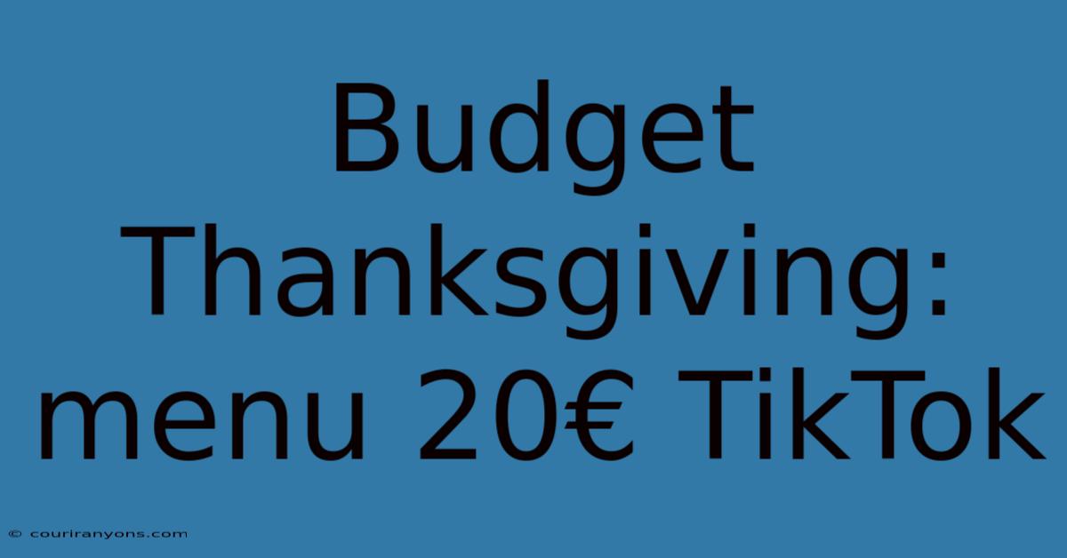 Budget Thanksgiving: Menu 20€ TikTok