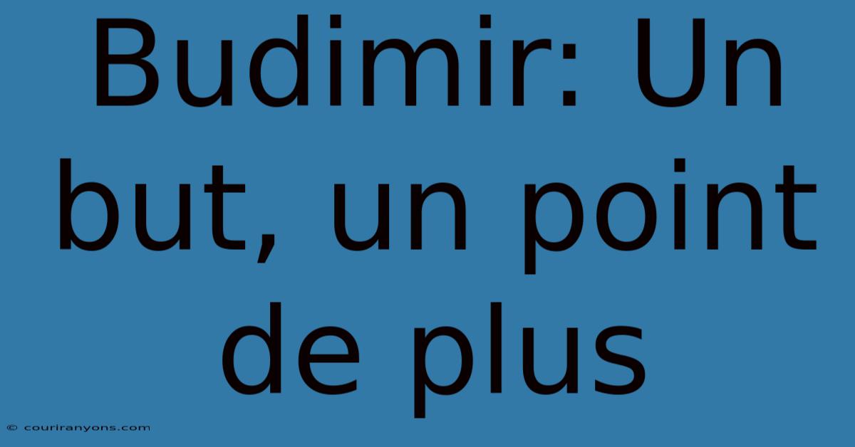 Budimir: Un But, Un Point De Plus