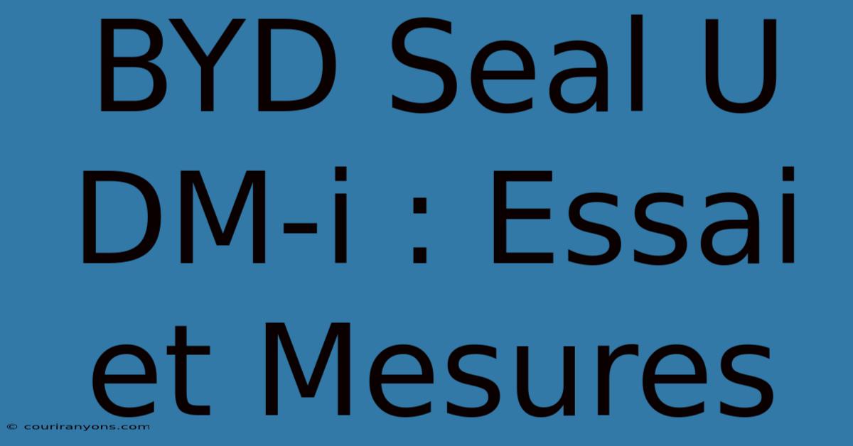 BYD Seal U DM-i : Essai Et Mesures