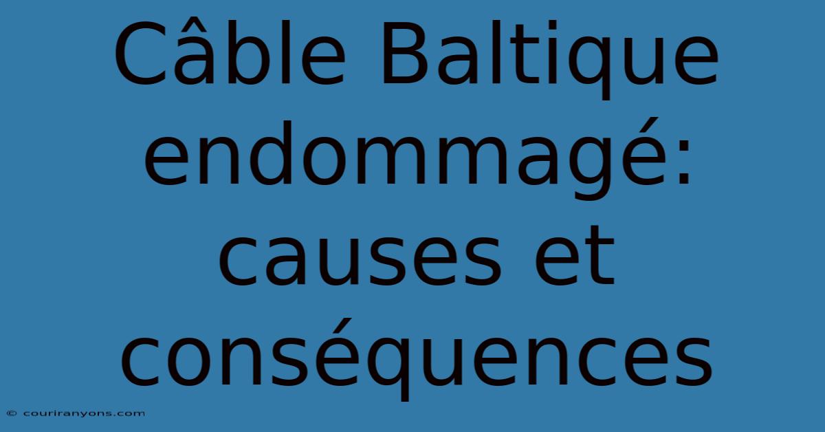 Câble Baltique Endommagé: Causes Et Conséquences