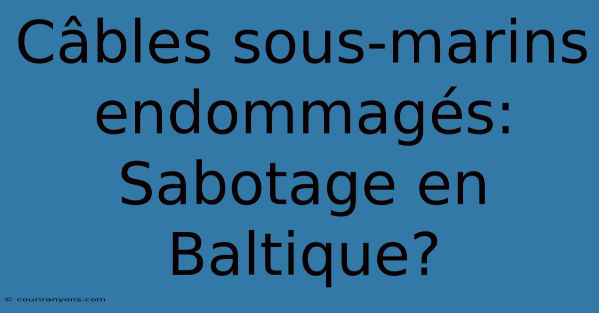 Câbles Sous-marins Endommagés: Sabotage En Baltique?