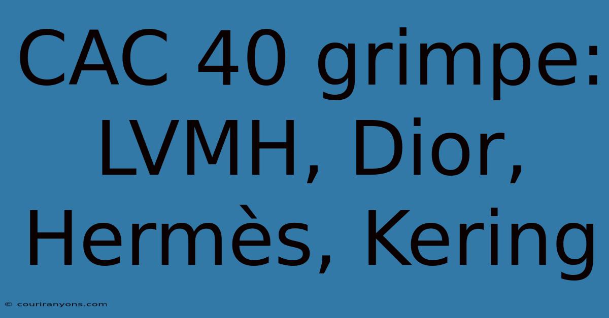 CAC 40 Grimpe: LVMH, Dior, Hermès, Kering