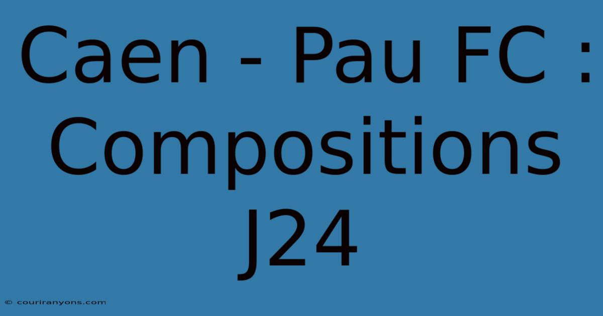 Caen - Pau FC : Compositions J24