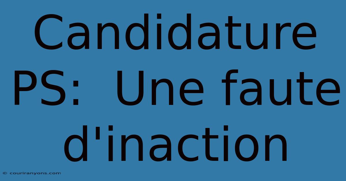 Candidature PS:  Une Faute D'inaction