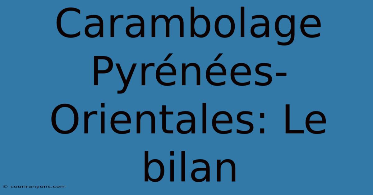 Carambolage Pyrénées-Orientales: Le Bilan