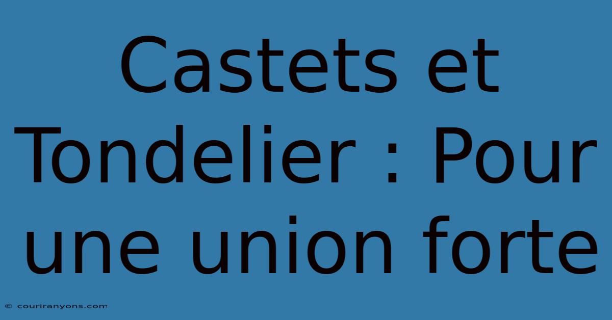 Castets Et Tondelier : Pour Une Union Forte