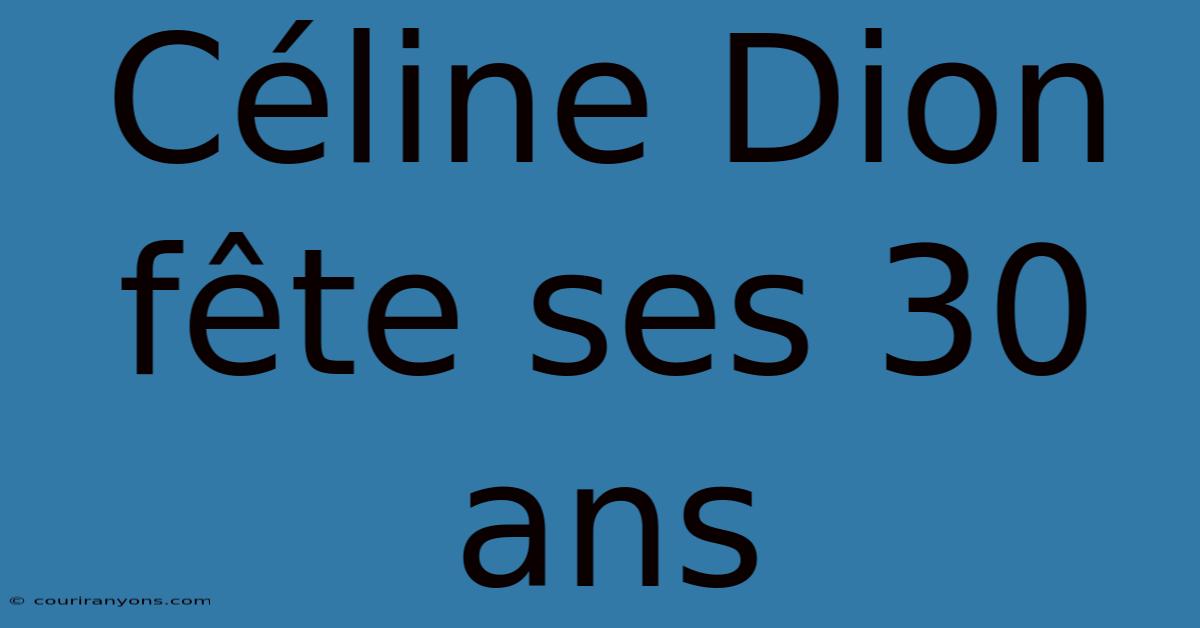 Céline Dion Fête Ses 30 Ans