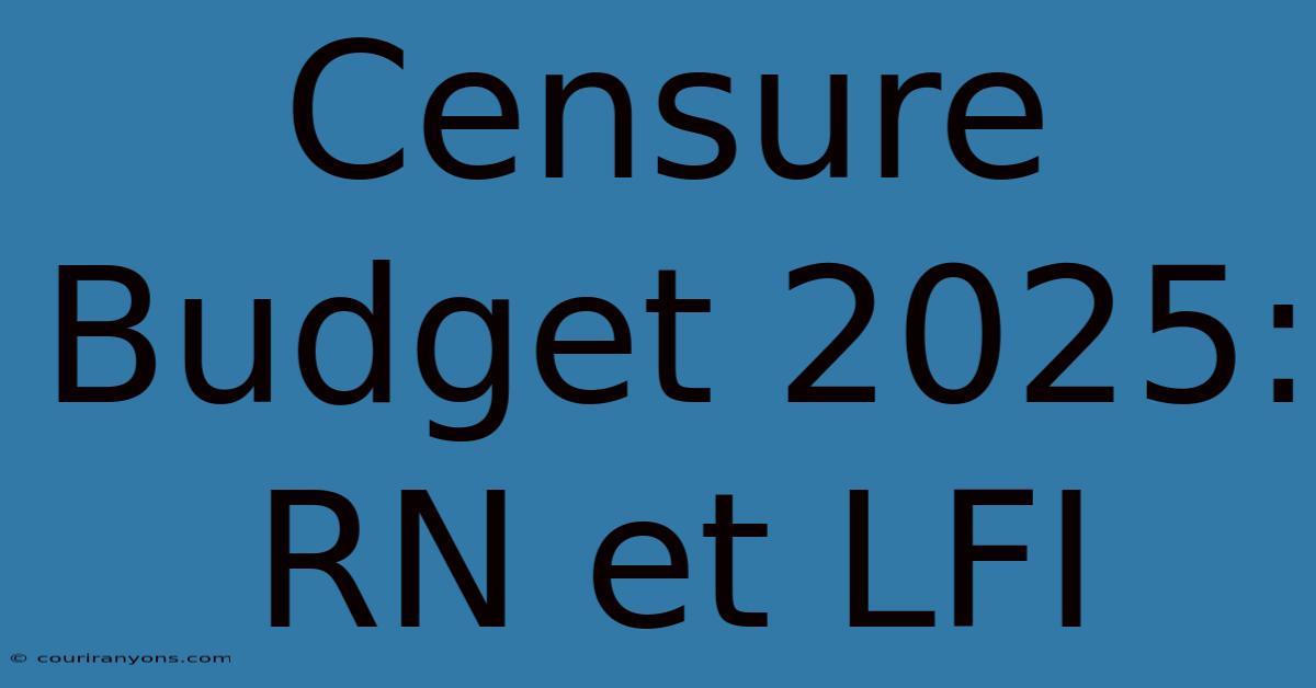 Censure Budget 2025: RN Et LFI