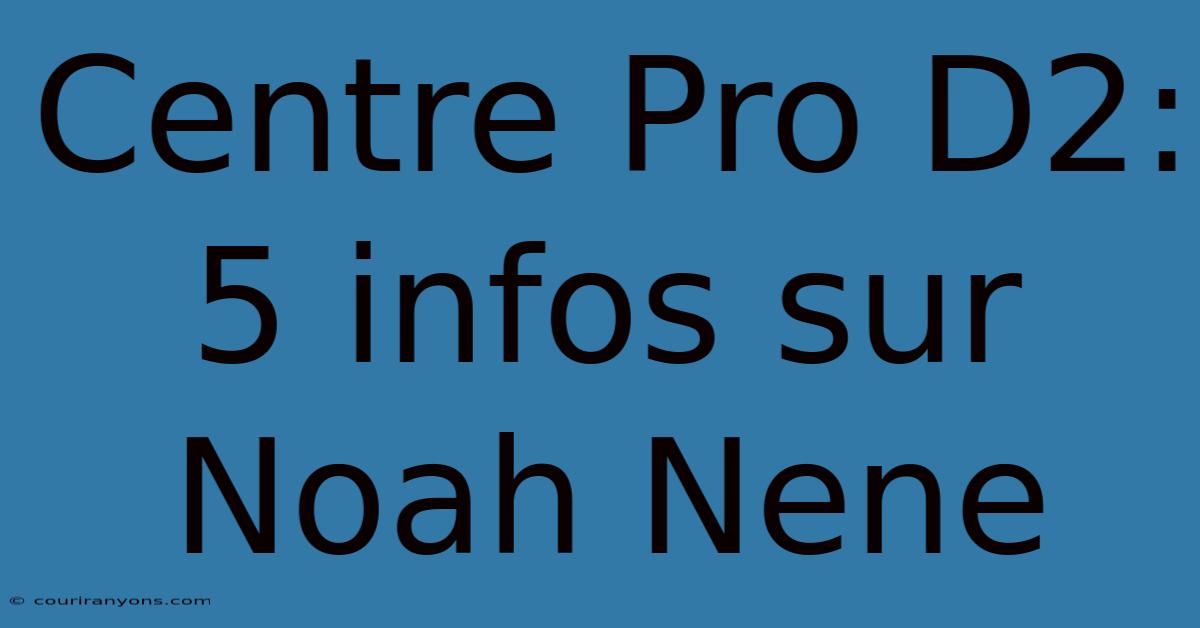 Centre Pro D2: 5 Infos Sur Noah Nene