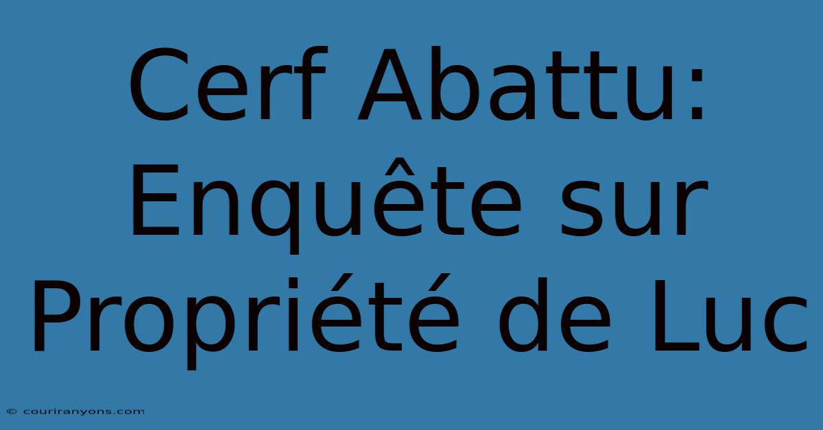 Cerf Abattu: Enquête Sur Propriété De Luc