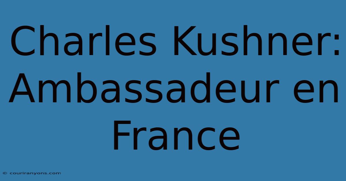 Charles Kushner: Ambassadeur En France