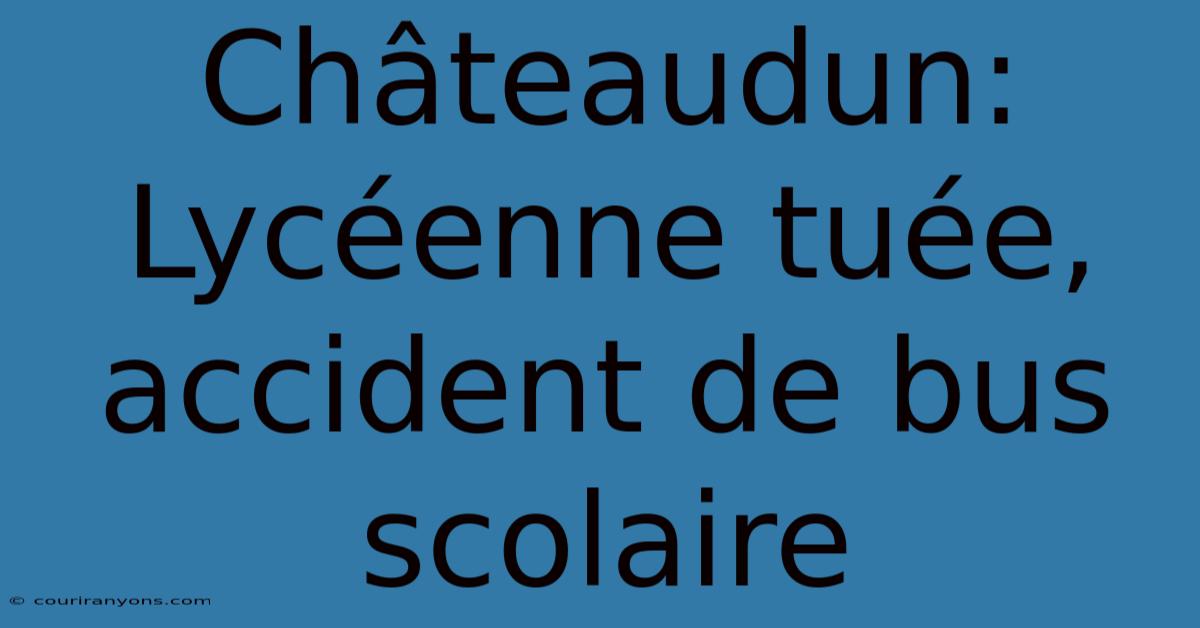 Châteaudun: Lycéenne Tuée, Accident De Bus Scolaire