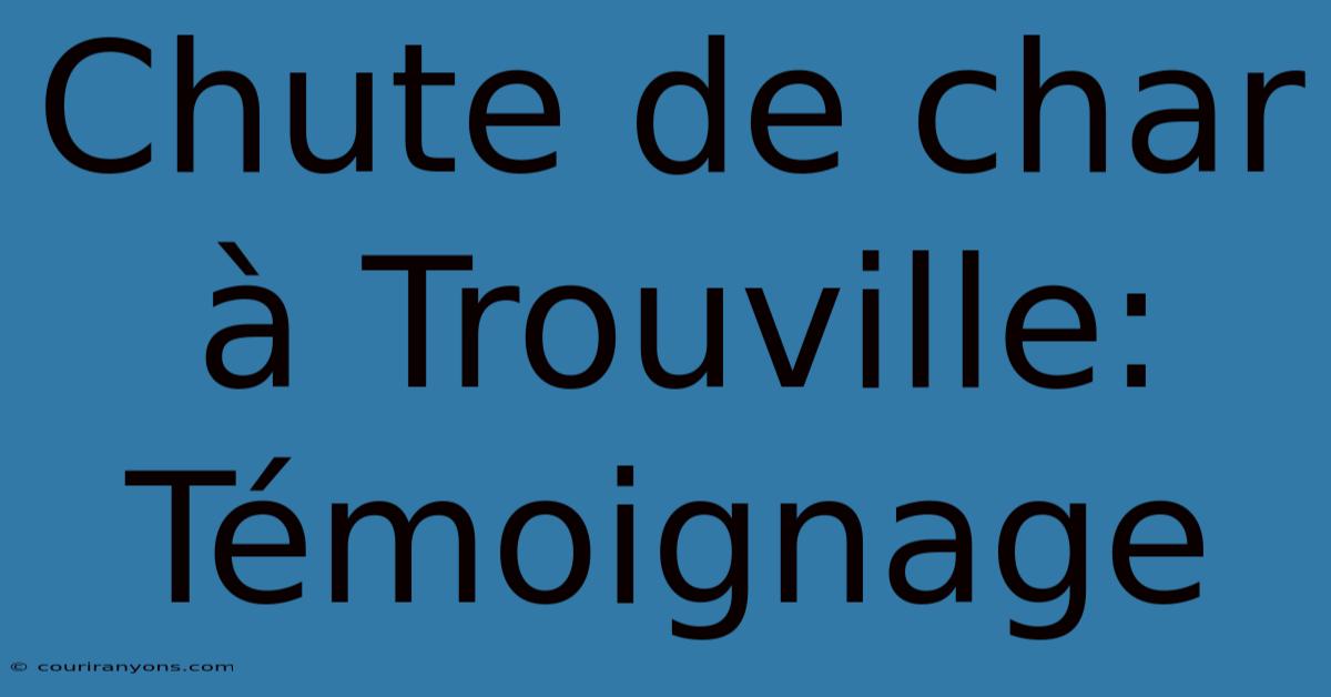 Chute De Char À Trouville: Témoignage