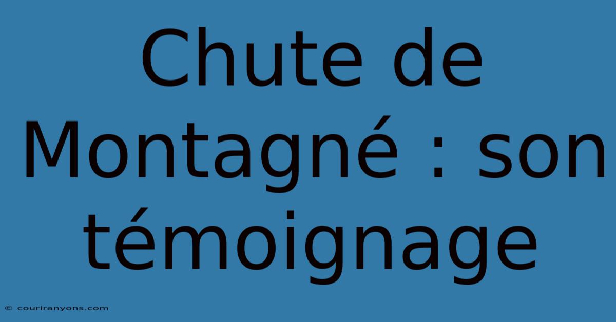 Chute De Montagné : Son Témoignage