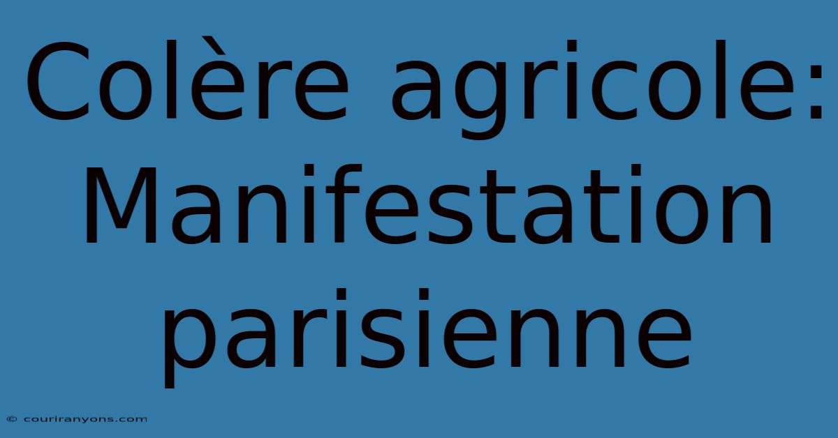 Colère Agricole: Manifestation Parisienne