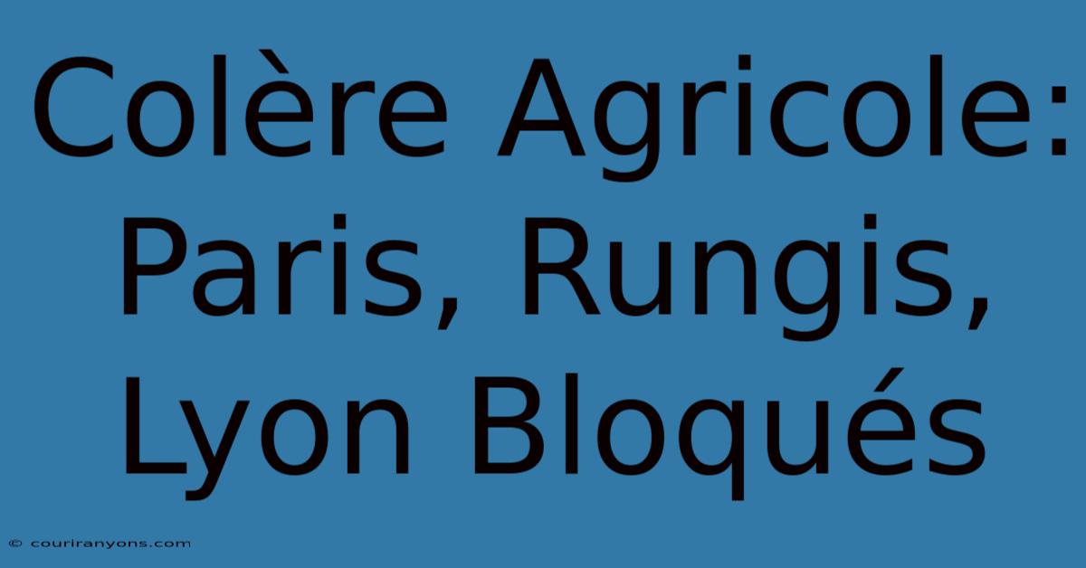 Colère Agricole: Paris, Rungis, Lyon Bloqués