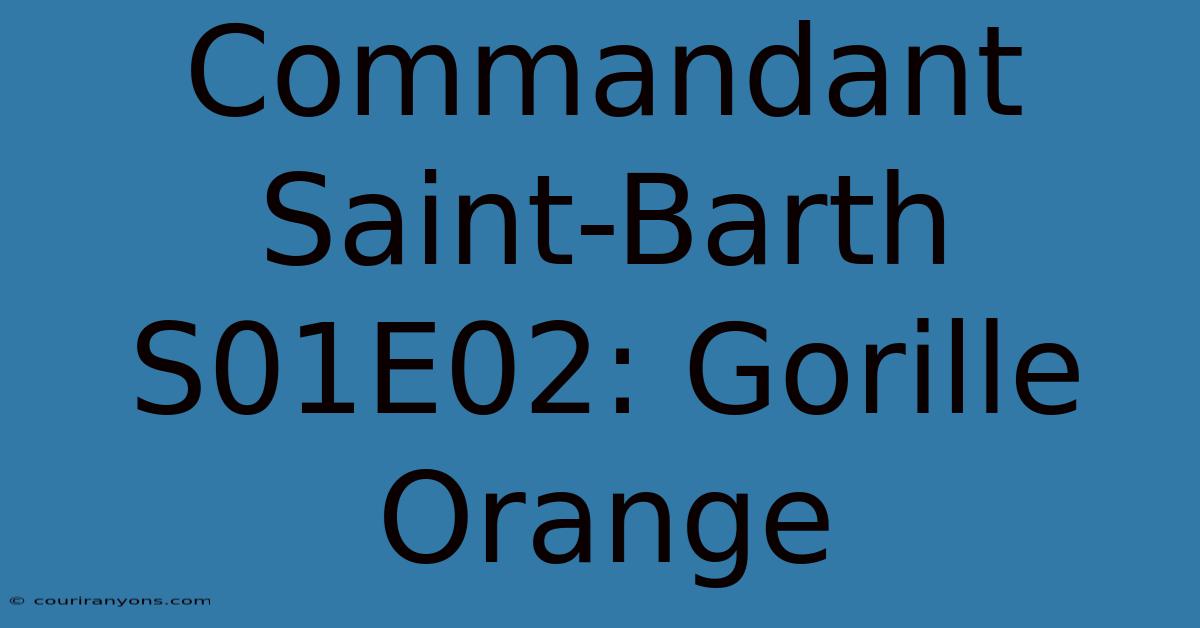 Commandant Saint-Barth S01E02: Gorille Orange