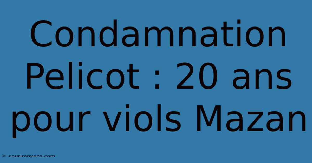 Condamnation Pelicot : 20 Ans Pour Viols Mazan