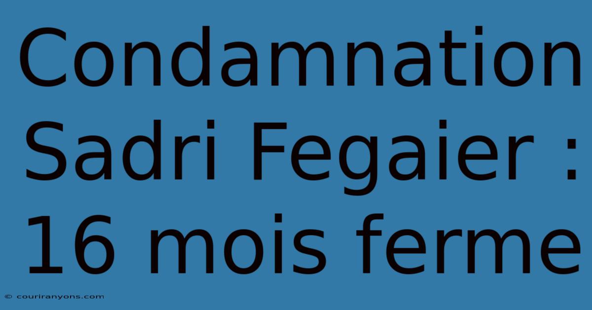 Condamnation Sadri Fegaier : 16 Mois Ferme