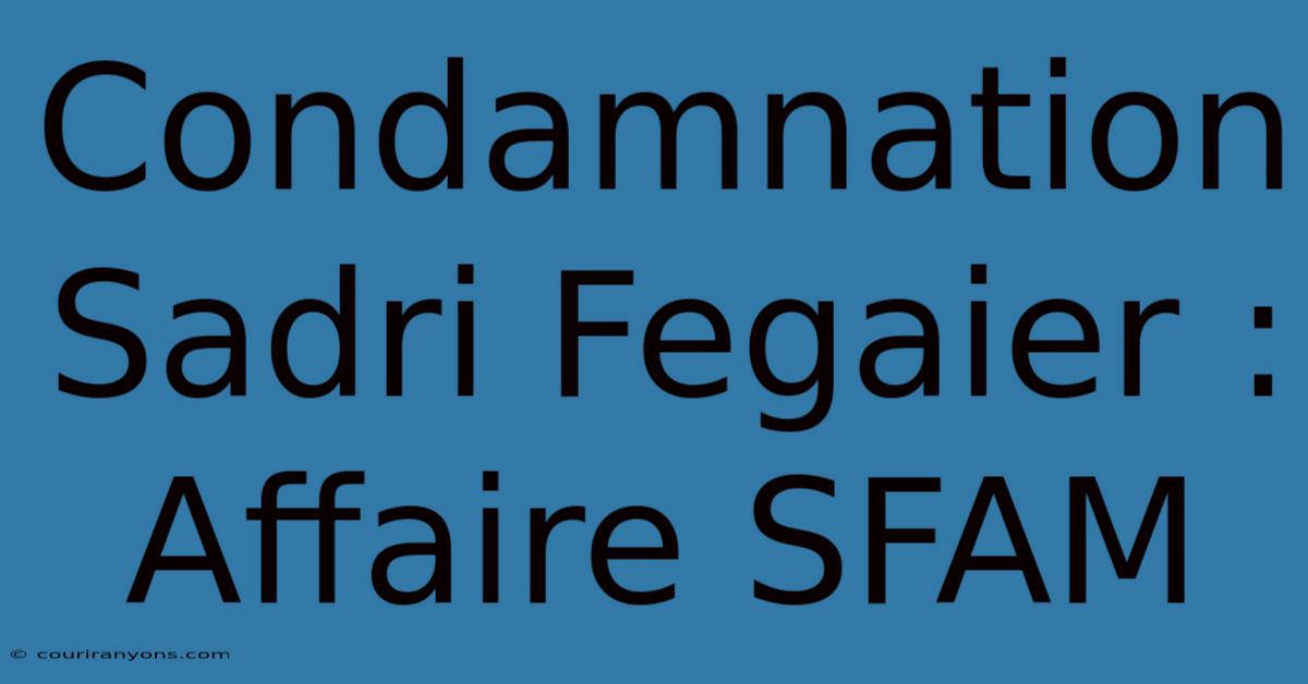 Condamnation Sadri Fegaier : Affaire SFAM