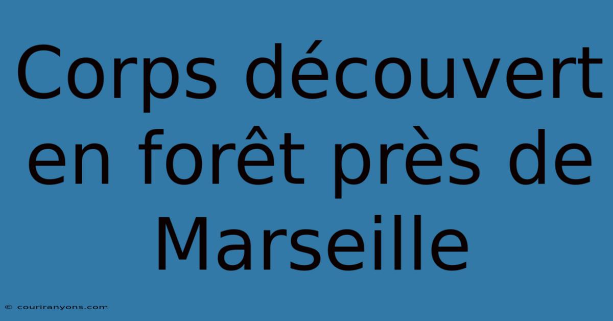 Corps Découvert En Forêt Près De Marseille