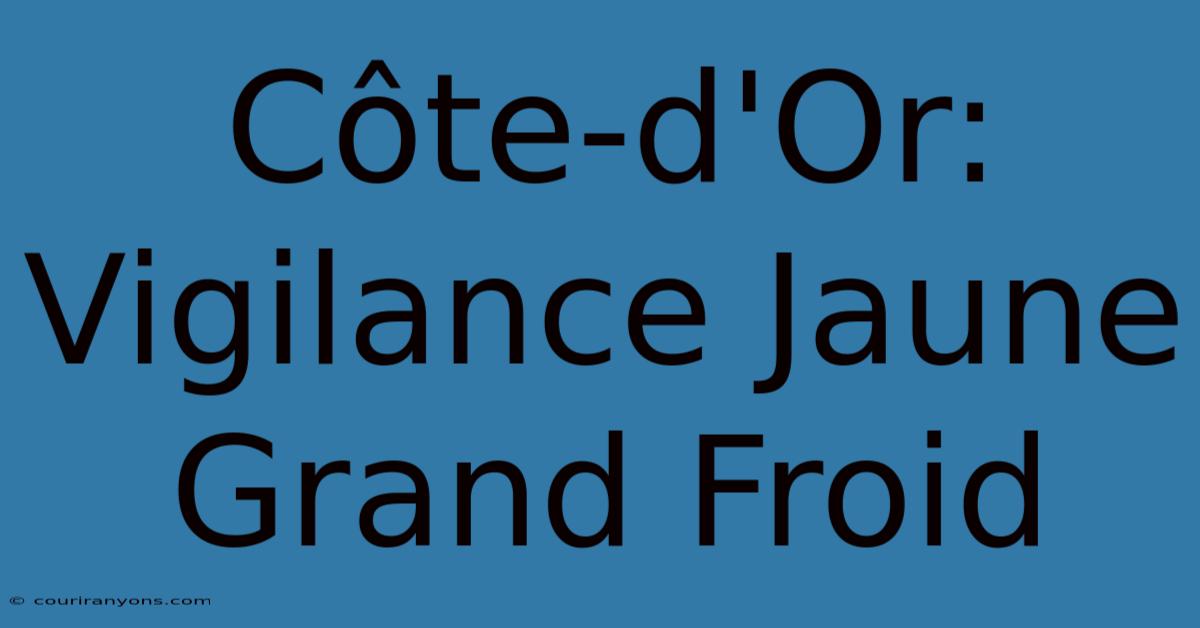 Côte-d'Or: Vigilance Jaune Grand Froid