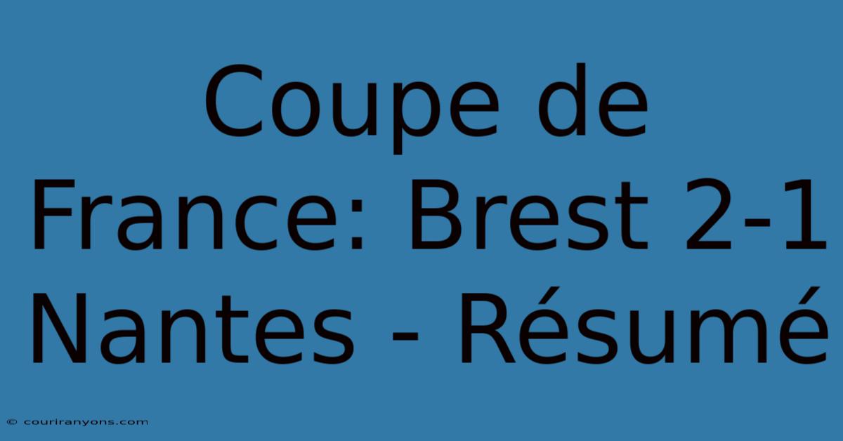 Coupe De France: Brest 2-1 Nantes - Résumé