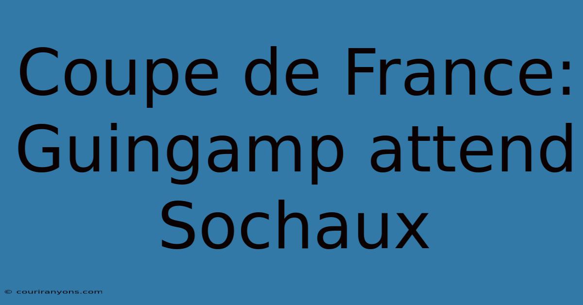 Coupe De France: Guingamp Attend Sochaux