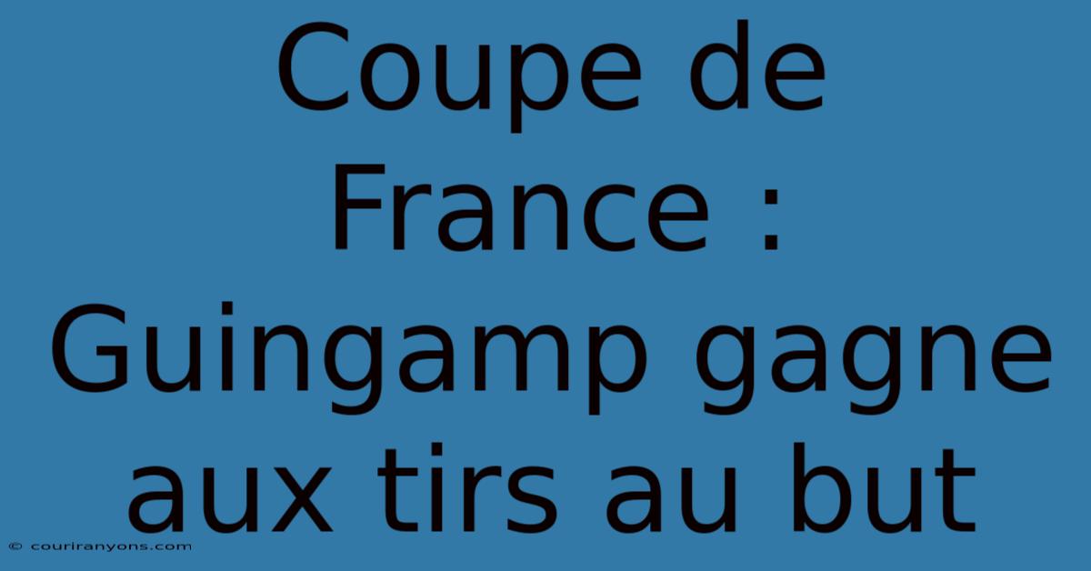 Coupe De France : Guingamp Gagne Aux Tirs Au But