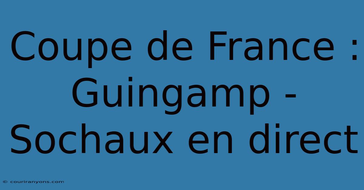 Coupe De France : Guingamp - Sochaux En Direct