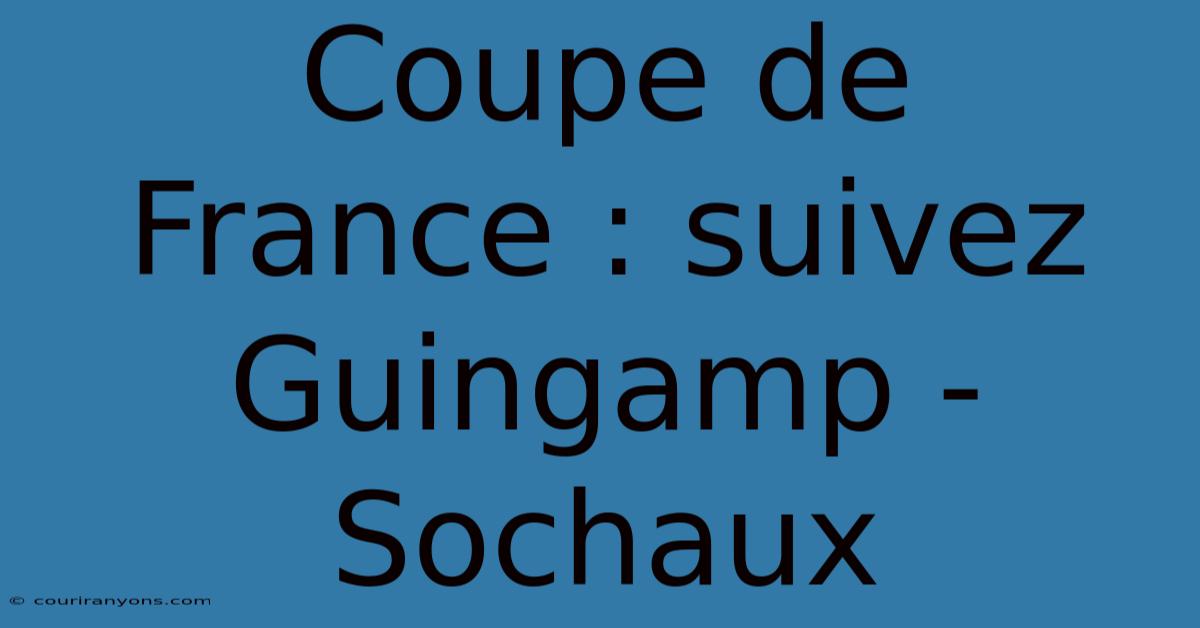 Coupe De France : Suivez Guingamp - Sochaux