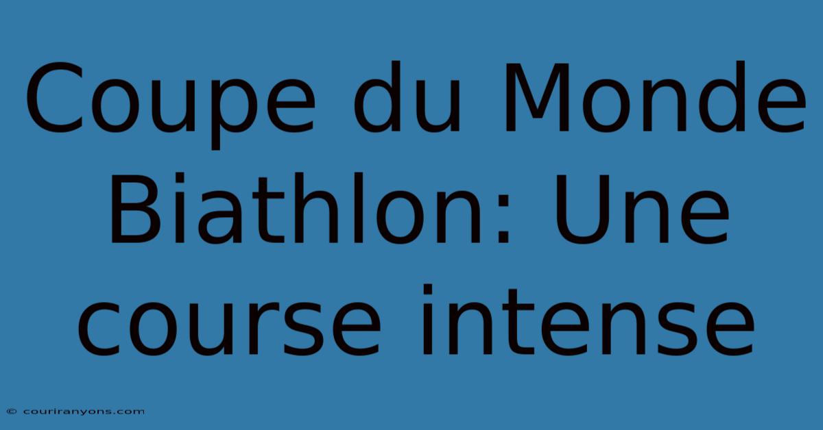 Coupe Du Monde Biathlon: Une Course Intense