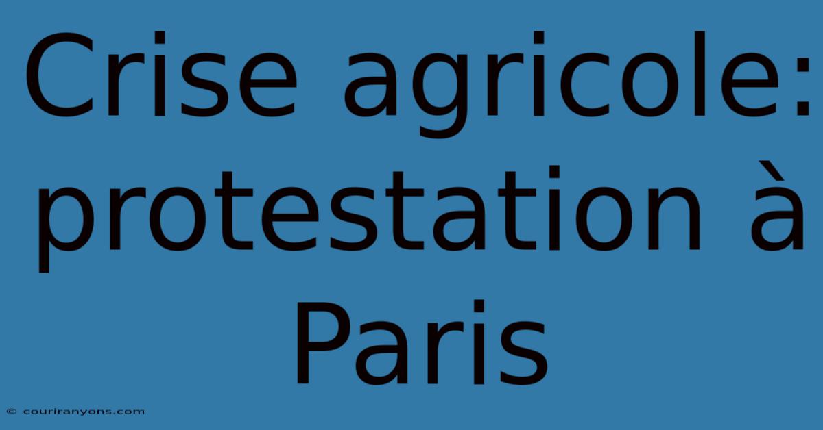 Crise Agricole: Protestation À Paris