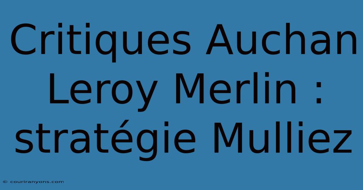 Critiques Auchan Leroy Merlin : Stratégie Mulliez