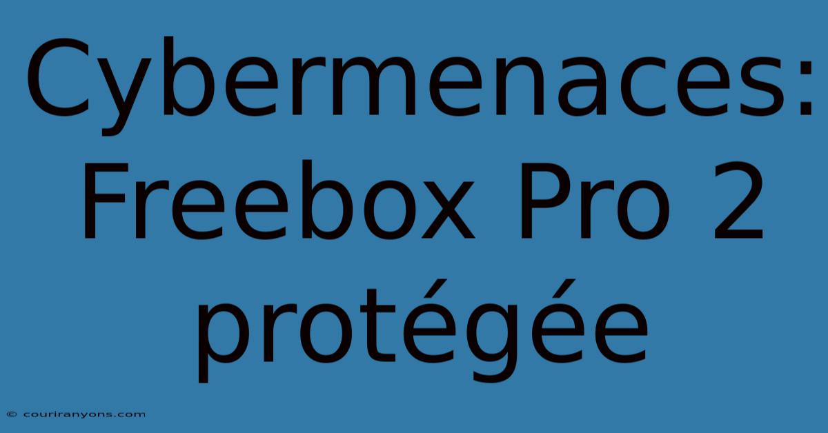 Cybermenaces: Freebox Pro 2 Protégée