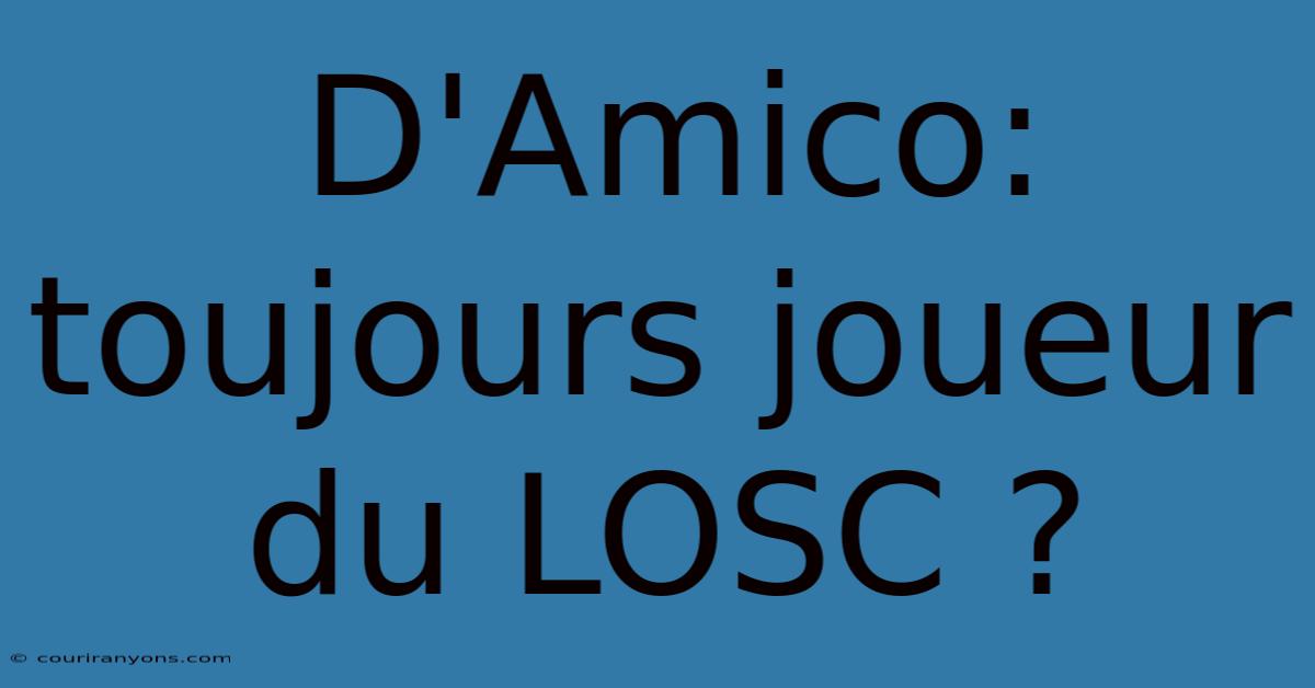 D'Amico: Toujours Joueur Du LOSC ?