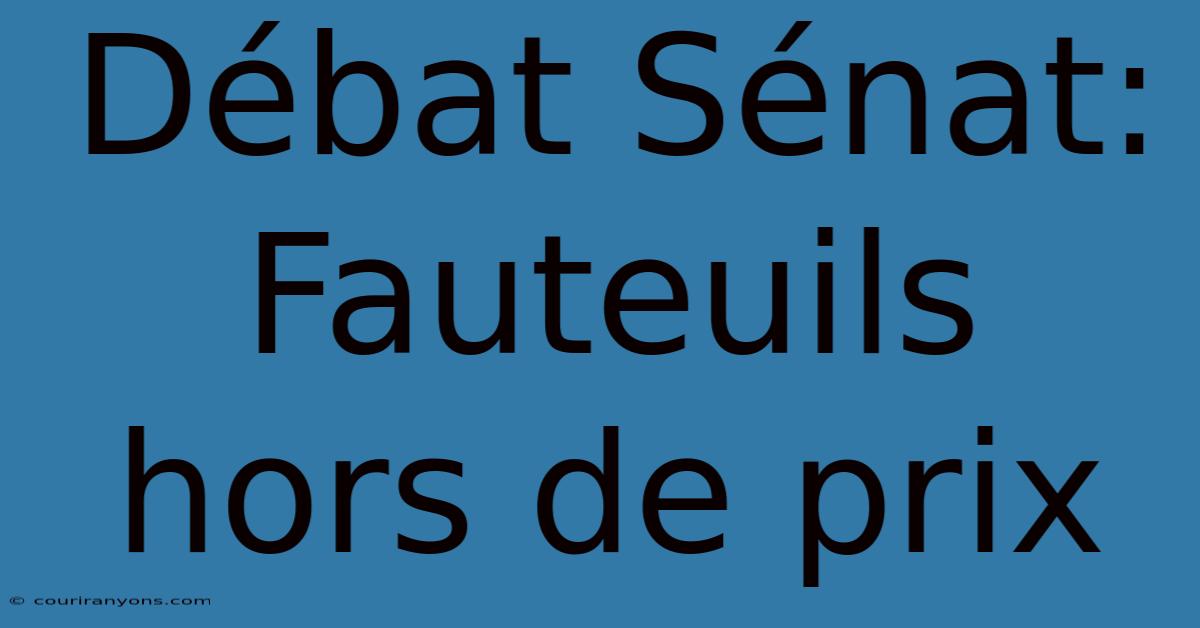 Débat Sénat: Fauteuils Hors De Prix