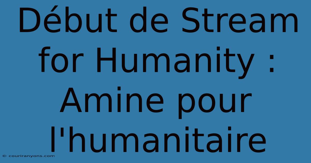 Début De Stream For Humanity : Amine Pour L'humanitaire