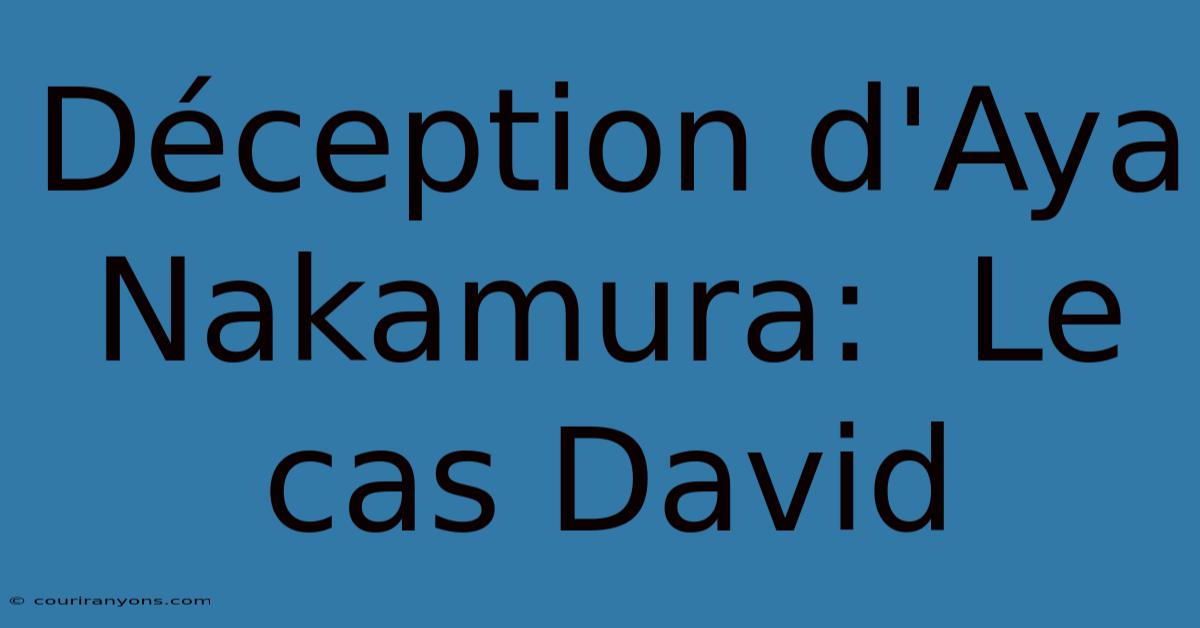 Déception D'Aya Nakamura:  Le Cas David