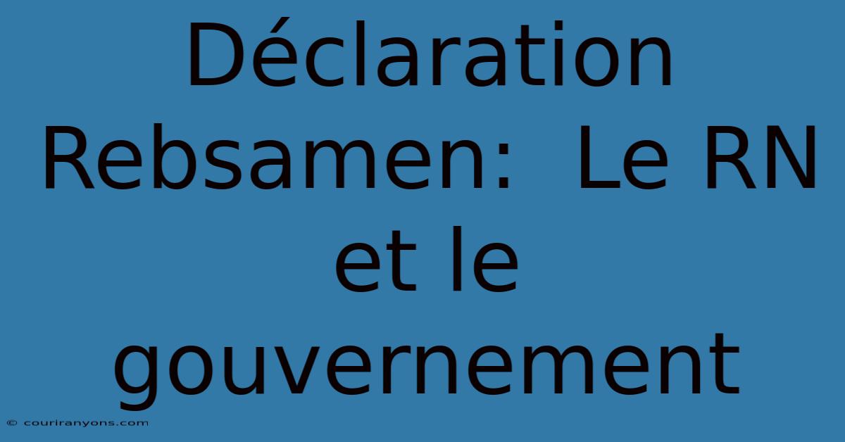 Déclaration Rebsamen:  Le RN Et Le Gouvernement