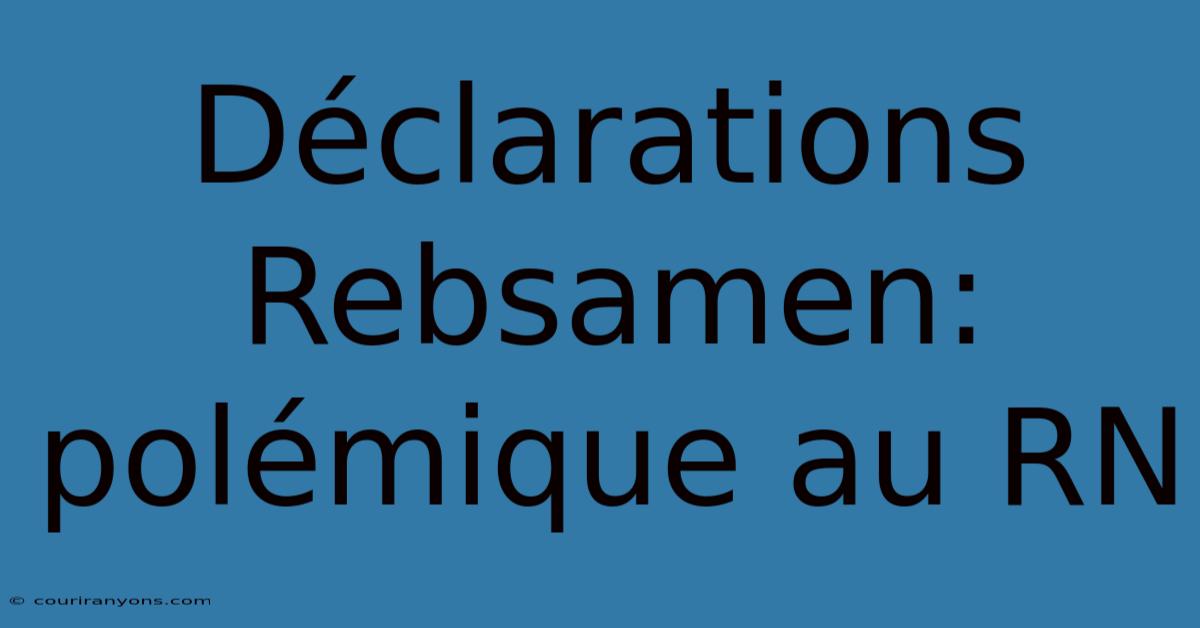 Déclarations Rebsamen: Polémique Au RN