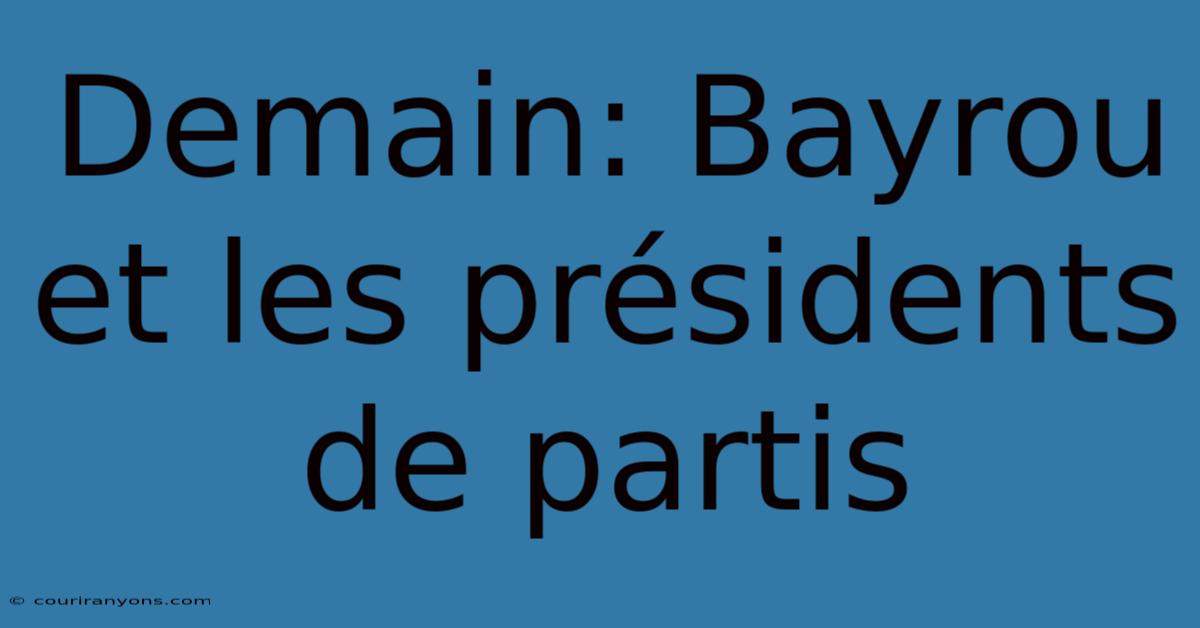 Demain: Bayrou Et Les Présidents De Partis