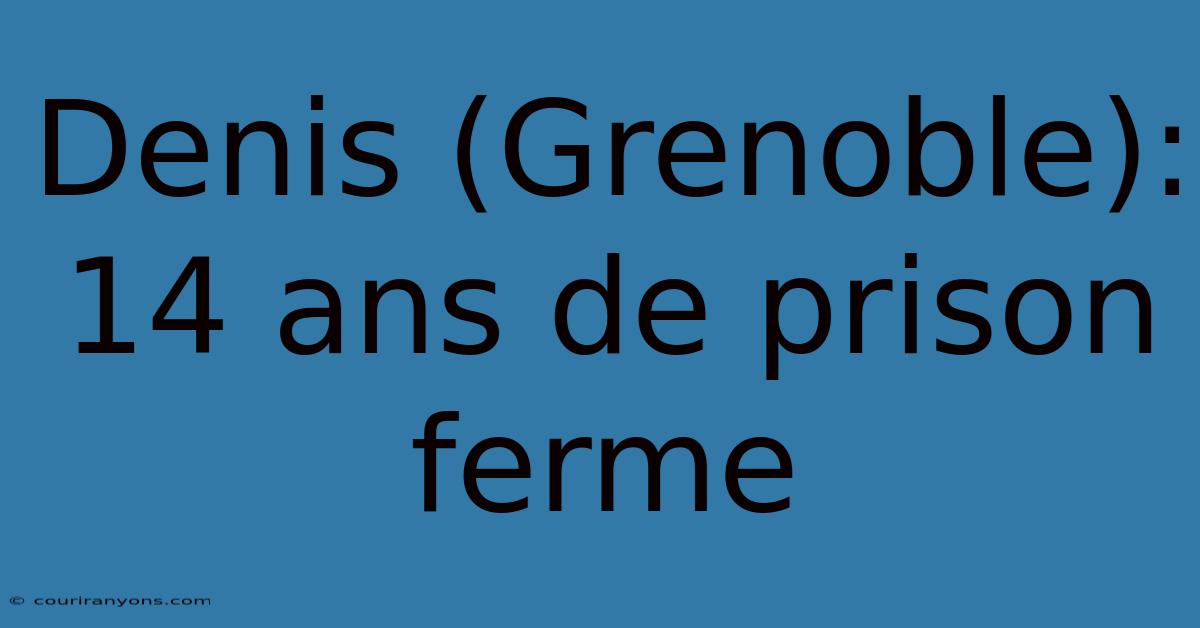 Denis (Grenoble): 14 Ans De Prison Ferme