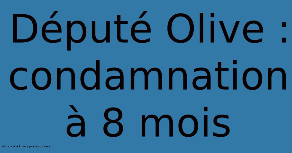 Député Olive : Condamnation À 8 Mois