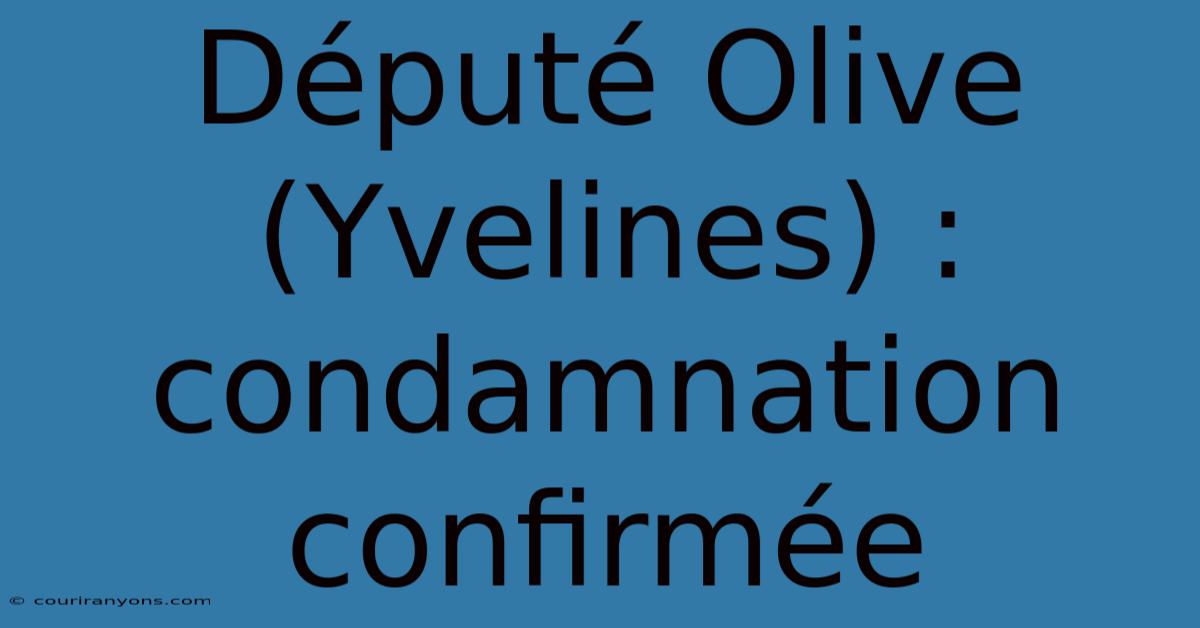 Député Olive (Yvelines) : Condamnation Confirmée