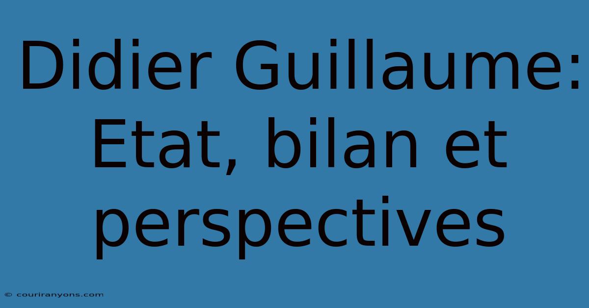 Didier Guillaume: Etat, Bilan Et Perspectives