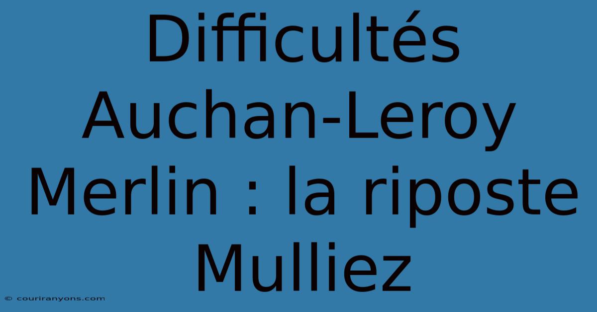 Difficultés Auchan-Leroy Merlin : La Riposte Mulliez