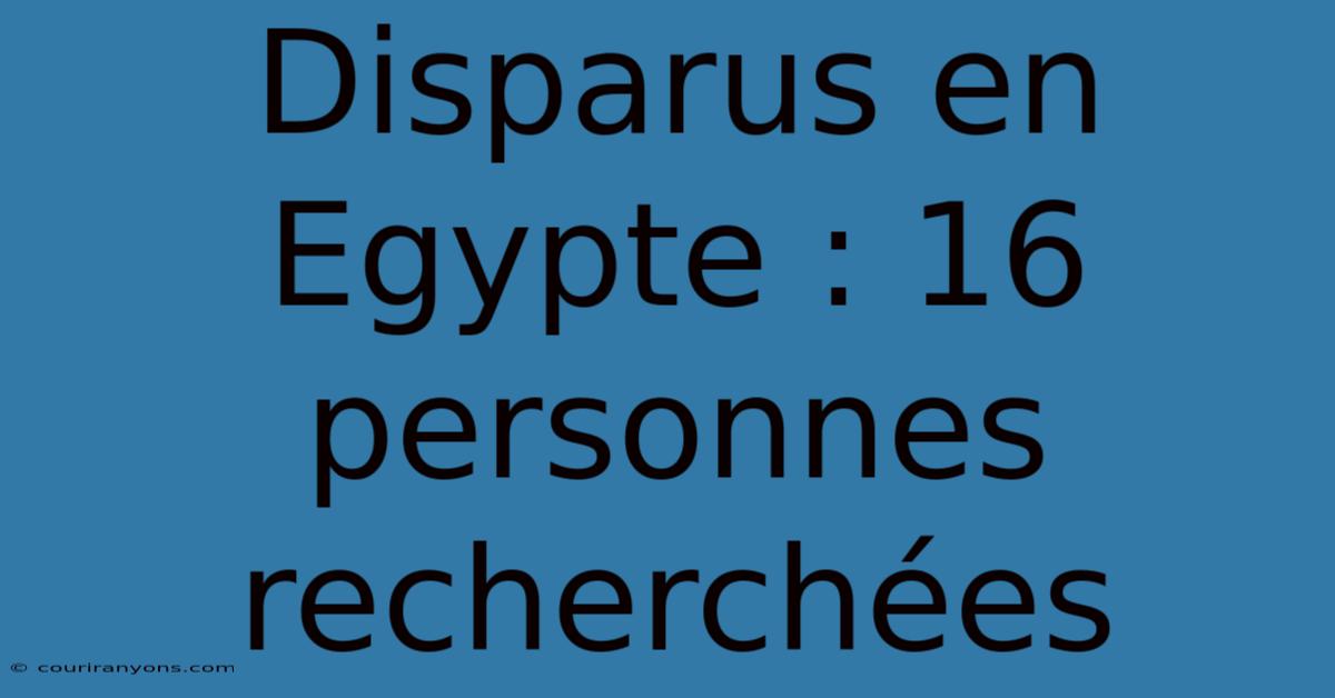 Disparus En Egypte : 16 Personnes Recherchées