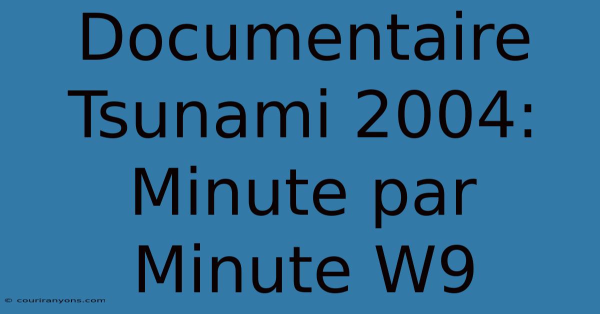 Documentaire Tsunami 2004: Minute Par Minute W9