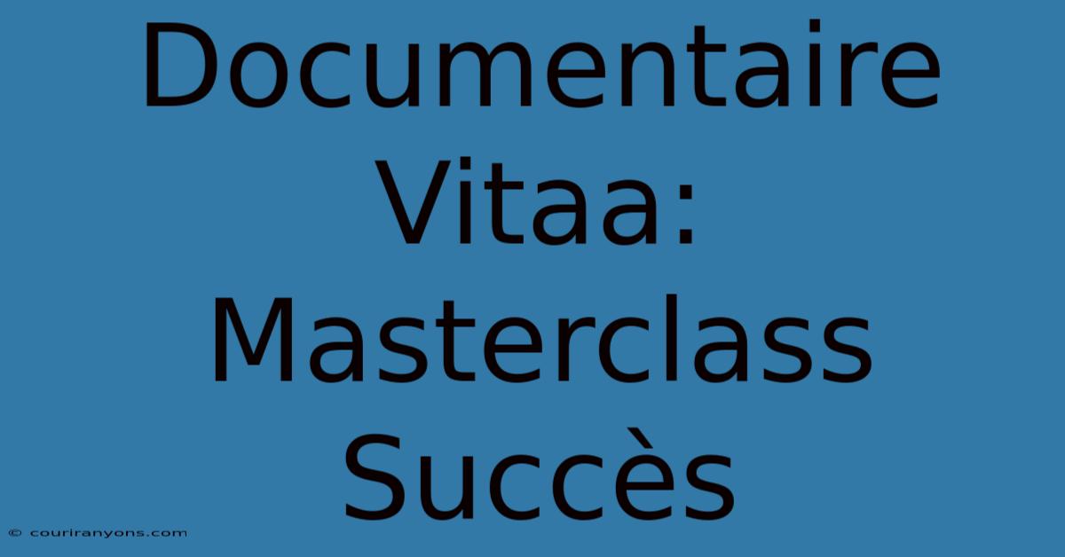 Documentaire Vitaa: Masterclass Succès